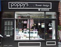 poppys flower design 1090774 Image 0